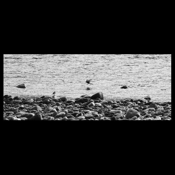 PHOTO84, CLUB, 84 , LUBERON